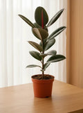 robot tree